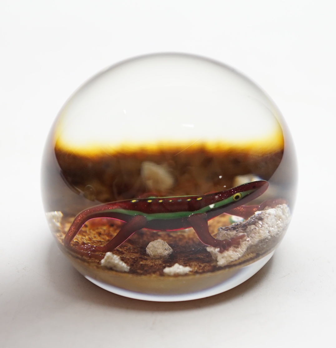 A Paul Ysart ‘salamander’ glass paperweight, Harland period, ‘PY’ cane, pebble ground, 6.5cm